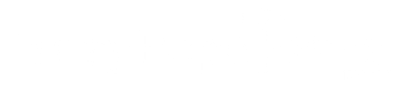 BeayPepeTools Logo